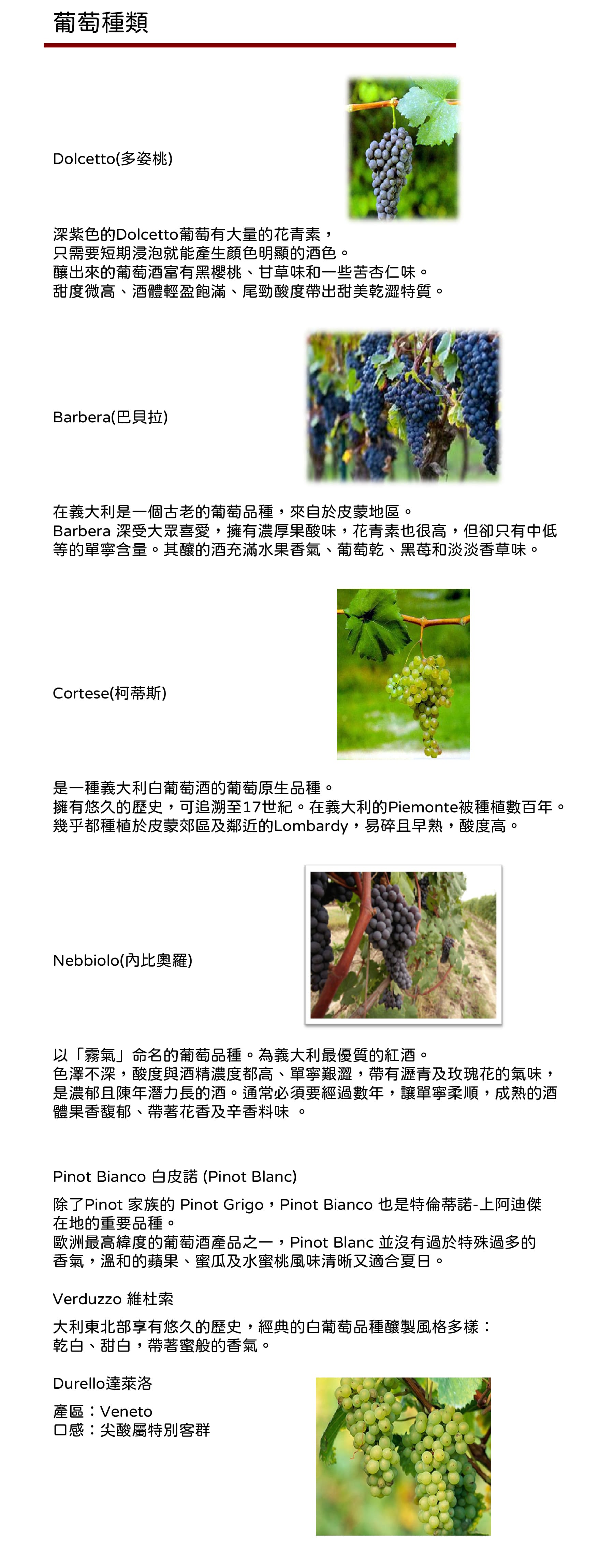 2025-MB Introduction-2.jpg